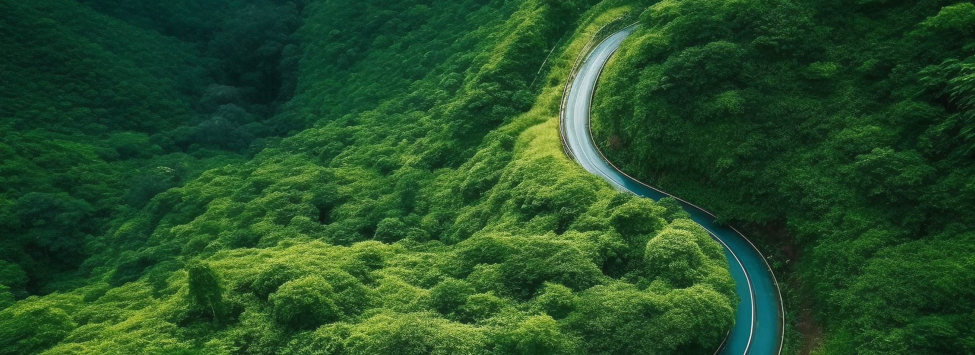 Green Management
